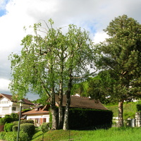 Annecy-le-Vieux 2015