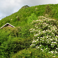 Annecy-le-Vieux 2015