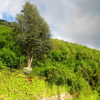 Annecy-le-Vieux 2015