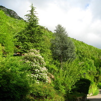 Annecy-le-Vieux 2015