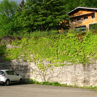 Annecy-le-Vieux 2014