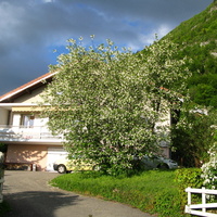 Annecy-le-Vieux 2015