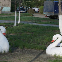 Элемент сквера.