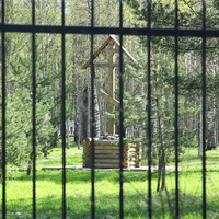 Поклонный крест на территории санатория "Детскосельский"