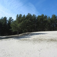 Сосновый Бор, парк "Белые пески"