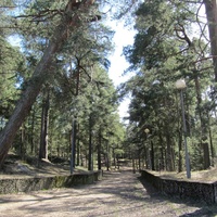 Сосновый Бор, в  городском парке