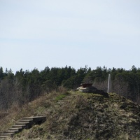 Сосновый Бор, ул. Ленинградская