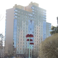 Сосновый Бор, гвоздики, другой ракурс