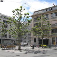 Genève 2015