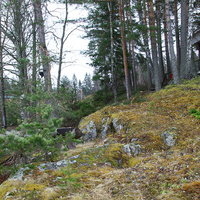 Природа озера Ванаявеси