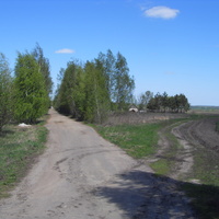 Дорога в Тростниково