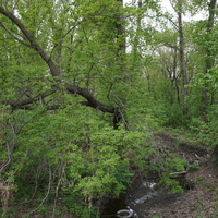 Речка Елшанка.