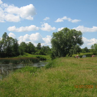 полянка у реки