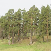 Ломоносов, парк