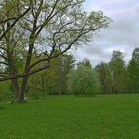 Александровский парк