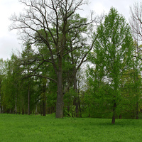 Александровский парк