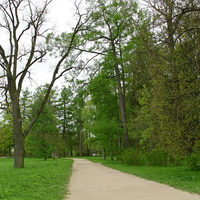 Александровский парк