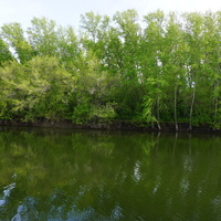 Парк Строителей.Озеро Песчаное.