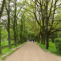 Аллея в парке Победы