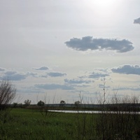 Пруд на окраине села Киселево