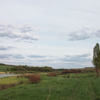 Пруд на окраине села Киселево