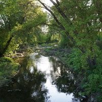 Речка Елшанка.