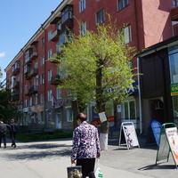 Новотроицк.