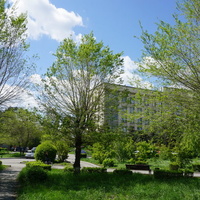 Новотроицк.