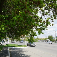 Новотроицк.