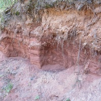 красный девонский песчаник в Хотнеже