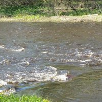 Река Вруда в  усадьбе Редкино