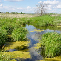 Окрестности Орска.