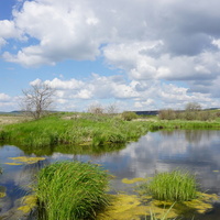Окрестности Орска.