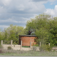 Круторожено.