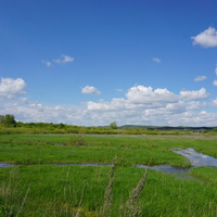 Орск.Окрестности.