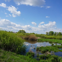 Строитель.Окрестности.