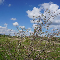 Круторожино.Окрестности.