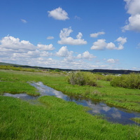 Строитель.Окрестности.