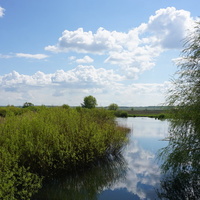 Строитель.Окрестности.