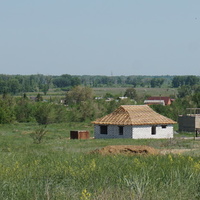 Новый кумак.