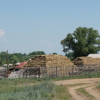 Новый Кумак.