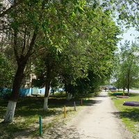 На улице Комарова.