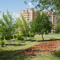 На улице Комарова.