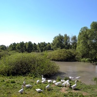Природа села Богословка