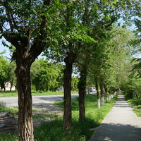 На Никельщиков.