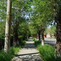 На проспекте Никольщиков.