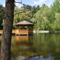 Озеро в зоопарке.