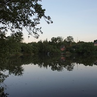 Природа села Болдыревка