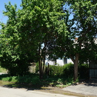 Частный сектор.