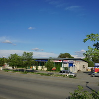 На улице Волкова.